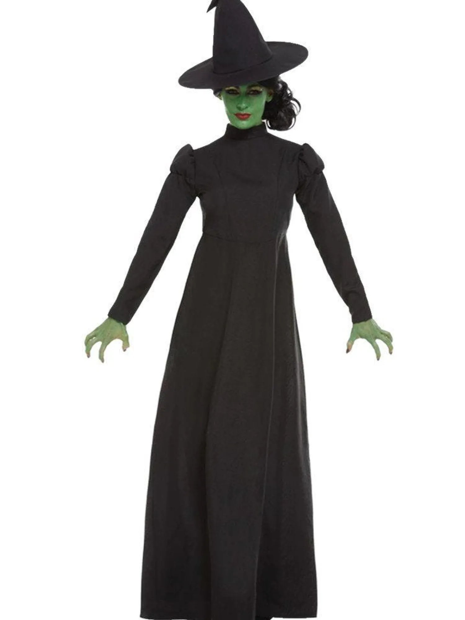 Wicked Witch - Adult Costume<Party Delights