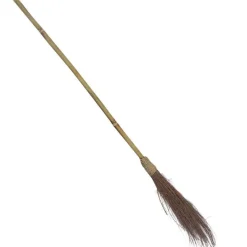Witches Broom - 1.1M<Party Delights New